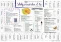 Schreibunterlage "Stolperwörter"
