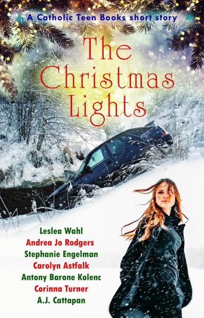 The Christmas Lights