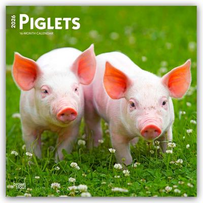 Piglets - Ferkel 2026 - 16-Monatskalender