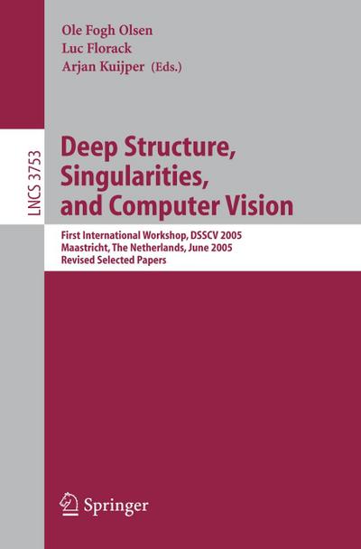 Deep Structure, Singularities, and Computer Vision