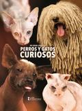 Mi gran libro de perros y gatos curiosos