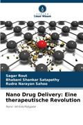 Nano Drug Delivery: Eine therapeutische Revolution