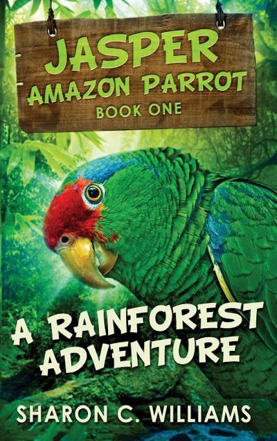 A Rainforest Adventure