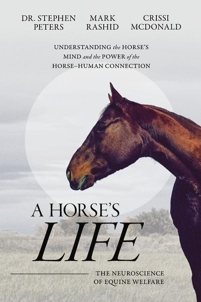 A Horse’s Life