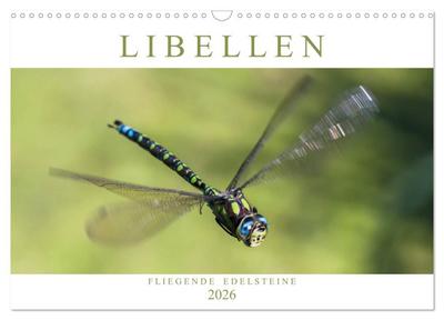 Libellen - Fliegende Edelsteine (Wandkalender 2026 DIN A3 quer), CALVENDO Monatskalender