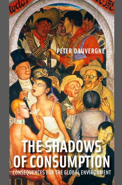 The Shadows of Consumption