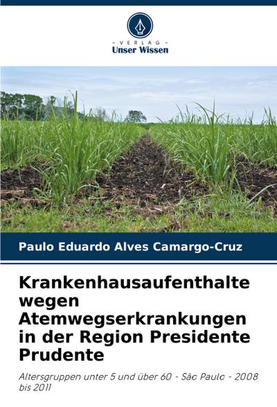 Krankenhausaufenthalte wegen Atemwegserkrankungen in der Region Presidente Prudente