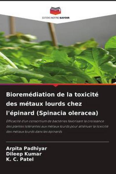 Bioremédiation de la toxicité des métaux lourds chez l’épinard (Spinacia oleracea)