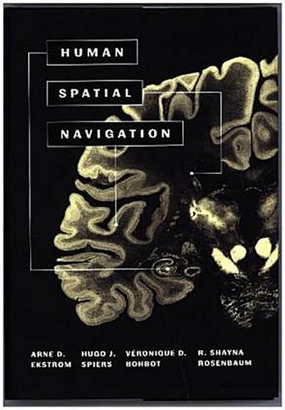 Human Spatial Navigation