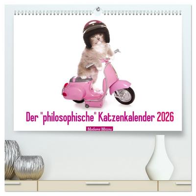 Der "philosophische" Katzenkalender 2026 (hochwertiger Premium Wandkalender 2026 DIN A2 quer), Kunstdruck in Hochglanz