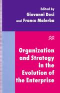 Organization and Strategy in the Evolution of the 
