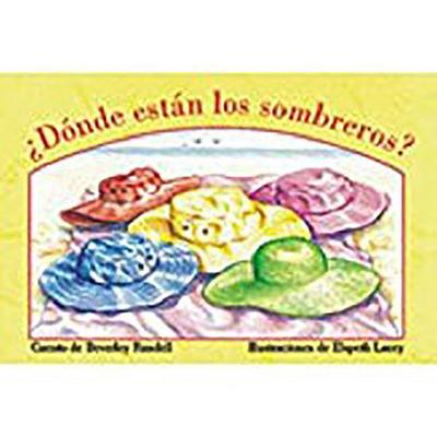 Donde Estan Los Sombreros? (Where Are the Sunhats?): Bookroom Package (Levels 6-8)