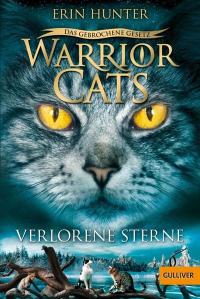 Warrior Cats 7/01: Verlorene Sterne