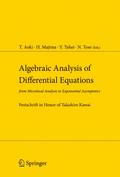 Algebraic Analysis of Differential Equations