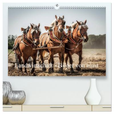 Landwirtschaft - Bilder von einst (hochwertiger Premium Wandkalender 2025 DIN A2 quer), Kunstdruck in Hochglanz