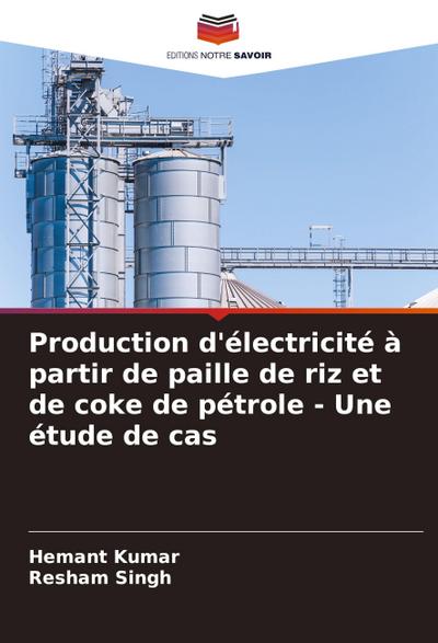 Production d’électricité à partir de paille de riz et de coke de pétrole - Une étude de cas