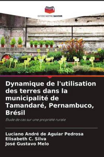 Dynamique de l’utilisation des terres dans la municipalité de Tamandaré, Pernambuco, Brésil