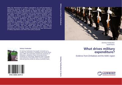 What drives military expenditure?