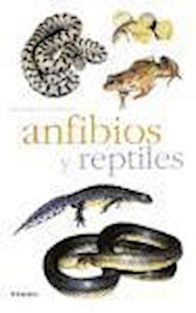 Anfibios y reptiles - Marc Santiani