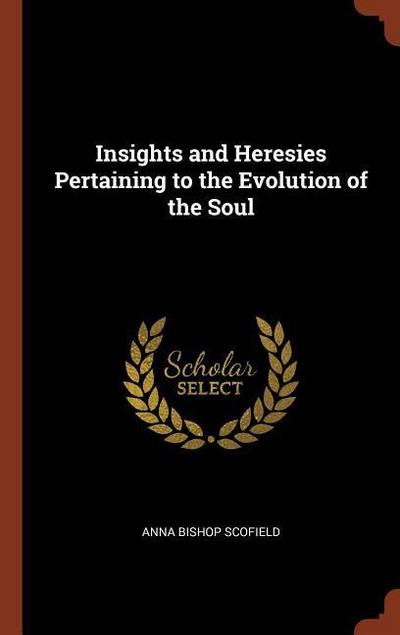Insights and Heresies Pertaining to the Evolution of the Soul
