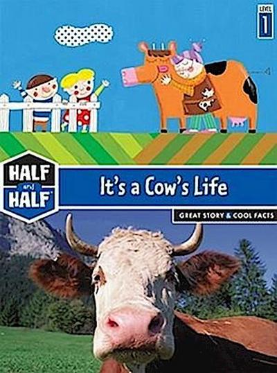 It’s a Cow’s Life