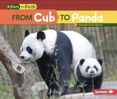 From Cub to Panda