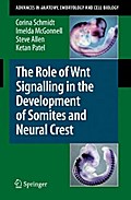 The Role of Wnt Signalling in the Development of Somites and Neural Crest