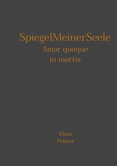 SpiegelMeinerSeele