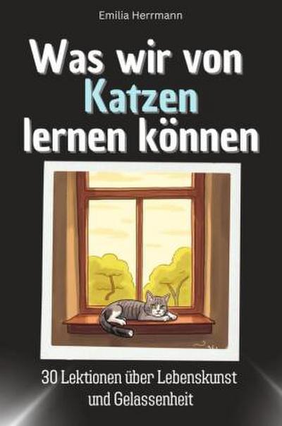 Was wir von Katzen lernen können