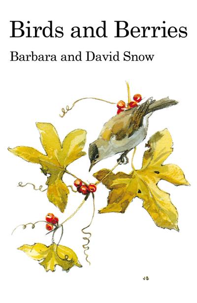 Birds and Berries