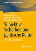 Subjektive Sicherheit und politische Kultur