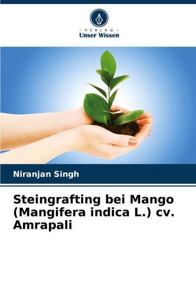 Steingrafting bei Mango (Mangifera indica L.) cv. Amrapali