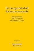 Die Energiewirtschaft im Instrumentenmix