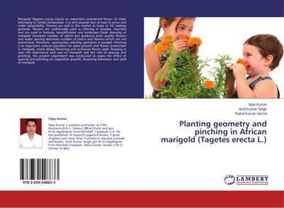 Planting geometry and pinching in African marigold (Tagetes erecta L.)