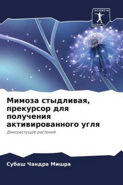 Mimoza stydliwaq, prekursor dlq polucheniq aktiwirowannogo uglq