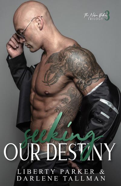 Seeking Our Destiny (Nelson Brothers, #3)
