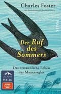 Der Ruf des Sommers