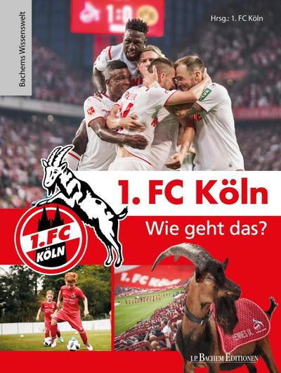 1. FC Köln - Wie geht das?