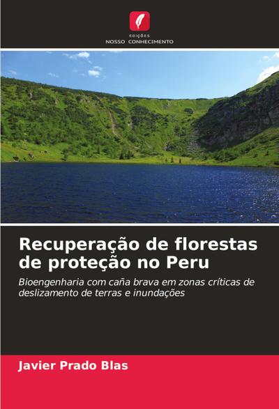 Recuperação de florestas de proteção no Peru