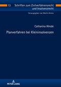 Planverfahren bei Kleininsolvenzen