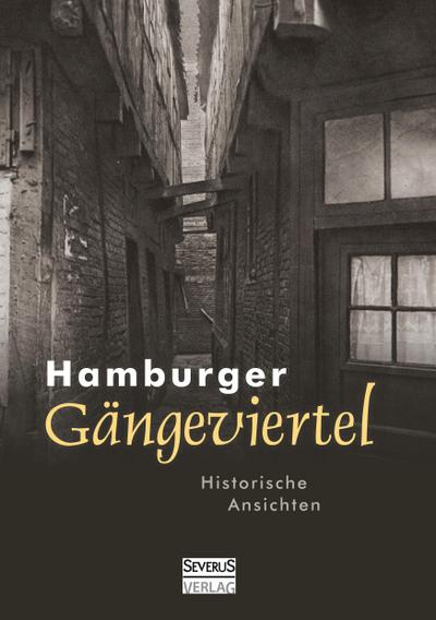 Hamburger Gängeviertel. Historische Ansichten