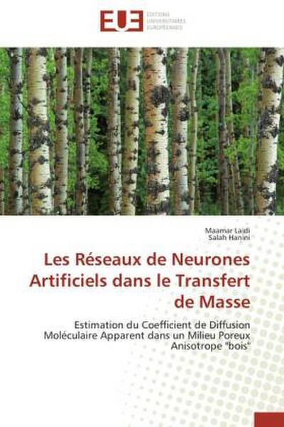 Les Réseaux de Neurones Artificiels dans le Transfert de Masse
