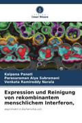 Expression und Reinigung von rekombinantem menschlichem Interferon