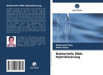 Bakterielle DNA-Hybridisierung