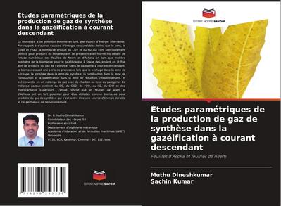 Études paramétriques de la production de gaz de synthèse dans la gazéification à courant descendant