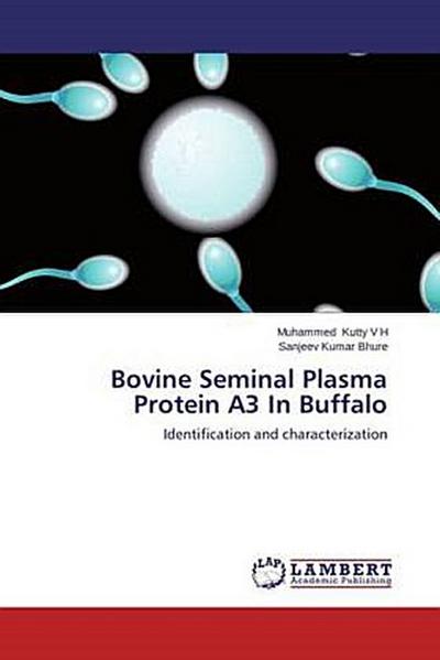 Bovine Seminal Plasma Protein A3 In Buffalo