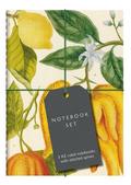 Botanical Art Notebook Set, 3 Teile