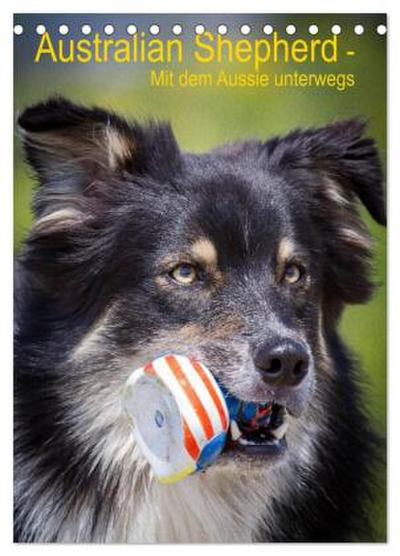 Australian Shepherd - Mit dem Aussie unterwegs (Tischkalender 2026 DIN A5 hoch), CALVENDO Monatskalender