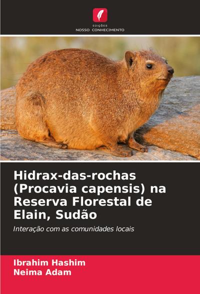 Hidrax-das-rochas (Procavia capensis) na Reserva Florestal de Elain, Sudão