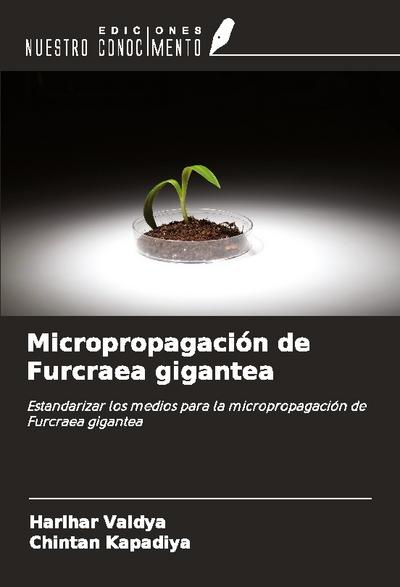Micropropagación de Furcraea gigantea